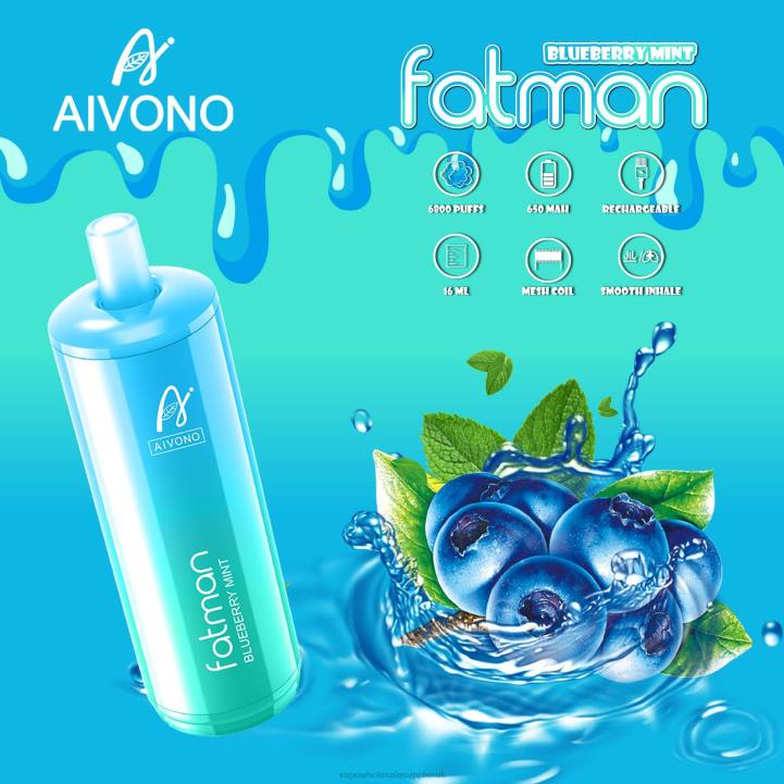 Aivono FATMAN 6800 Blueberry Mint - LRB422 Vape Wholesale Near Me