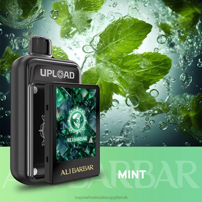 Vape Wholesale Supplier Z0ZT117 Mint - Alibarbar Upload