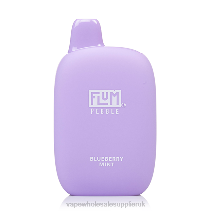 FLUM PEBBLES 6000 PUFFS 0L8223 Vape Wholesale Supplier Blueberry Mint