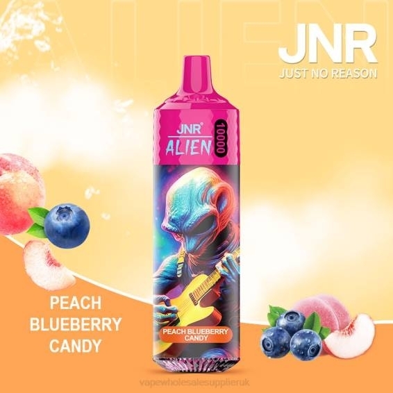 Vape Wholesale Birmingham 022N656 | JNR ALIEN Peach Blueberry Candy