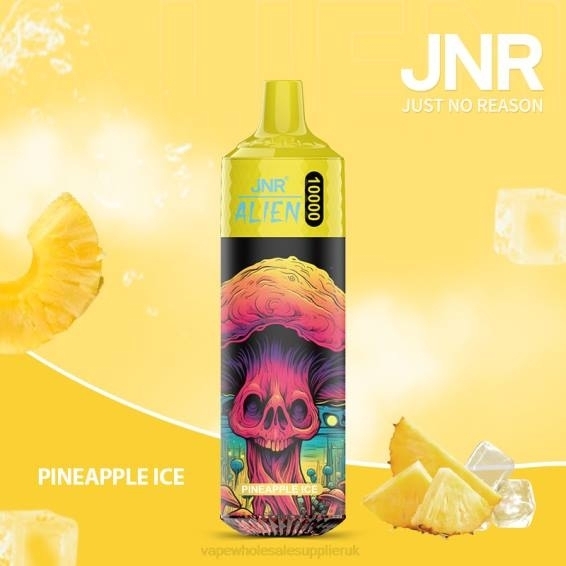 Vape Wholesale UK Discount Code 022N659 | JNR ALIEN Pineapple Ice