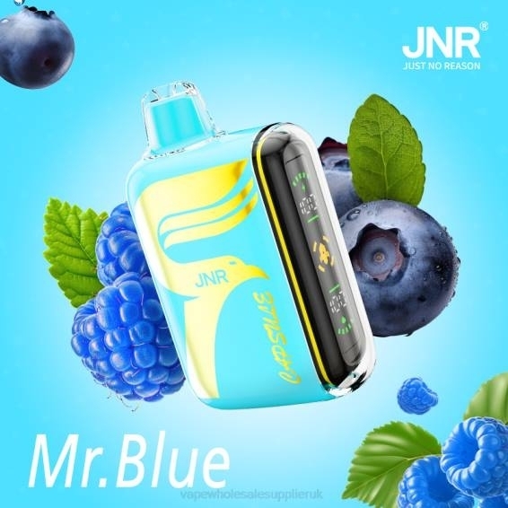 Vape Wholesale Birmingham 022N606 | JNR CAPSULE Mr.Blue