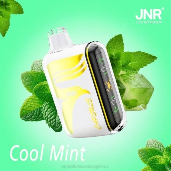 Vape Wholesale Near Me 022N604 | JNR CAPSULE Cool Mint