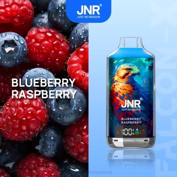 Vape Wholesale Near Me 022N544 | JNR FALCON-X Blueberry Raspberry