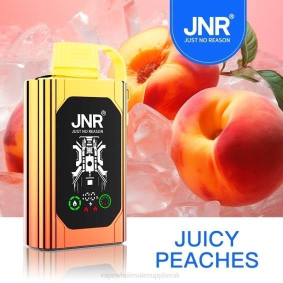 Vape Wholesale Supplier 022N622 | JNR SHISHA BOX Juicy Peaches