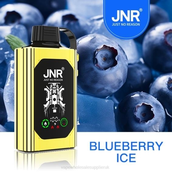 Vape Wholesale Supplies 022N617 | JNR SHISHA BOX Blueberry Ice