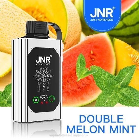 Vape Wholesale UK 022N621 | JNR SHISHA BOX Double Melon Mint