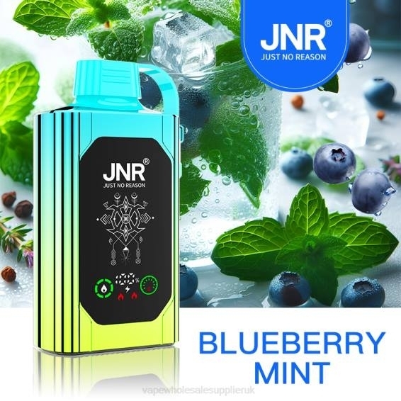 Vape Wholesale UK Ltd 022N618 | JNR SHISHA BOX Blueberry Mint