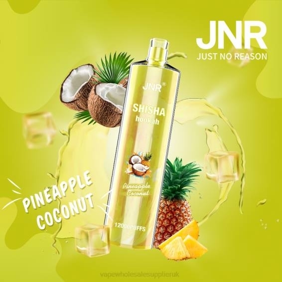 Vape Wholesale Birmingham 022N686 | JNR SHISHA Pineapple Coconut