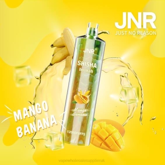 Vape Wholesale Near Me 022N684 | JNR SHISHA Mango Banana