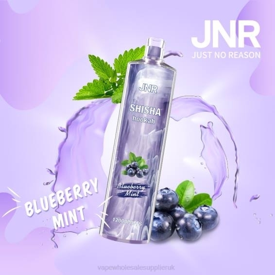 Vape Wholesale Supplier 022N672 | JNR SHISHA Blueberry Mint