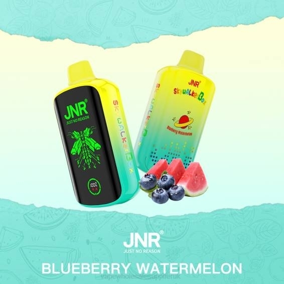 Vape Wholesale Birmingham 022N586 | JNR SKYWALKER BOX Blueberry Watermelon