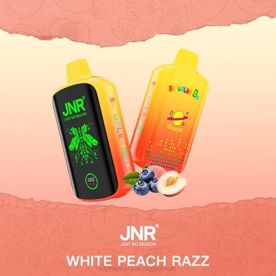 Vape Wholesale Birmingham 022N596 | JNR SKYWALKER BOX White Peach Razz