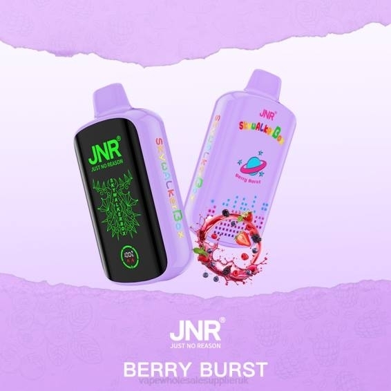 Vape Wholesale Supplier 022N582 | JNR SKYWALKER BOX Berry Burst