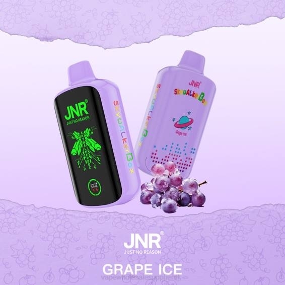 Vape Wholesale Supplies 022N587 | JNR SKYWALKER BOX Grape Ice