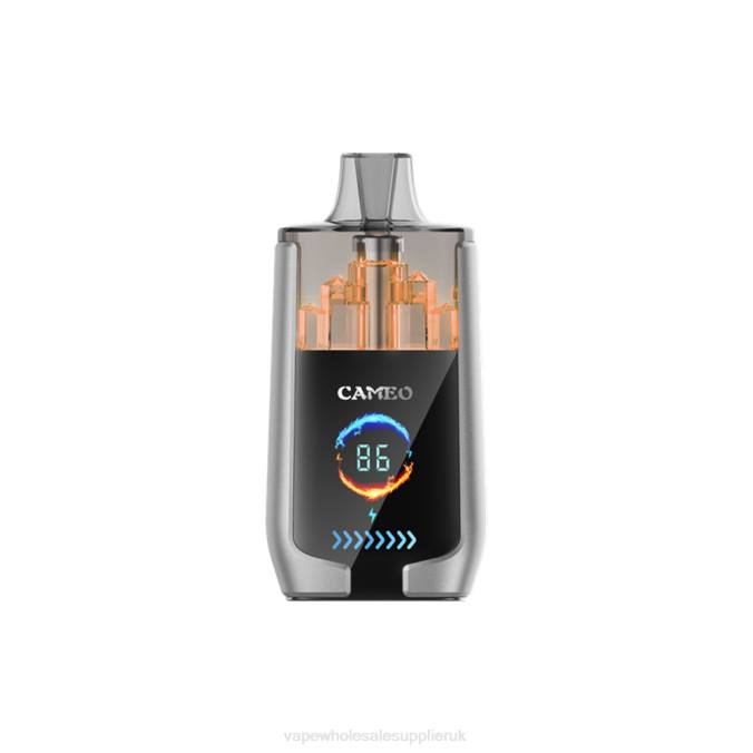 Vape Wholesale Birmingham 4BD615 Blueberry Ice - LAVIE CAMEO 30000 Puffs