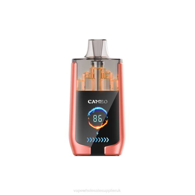 Vape Wholesale Birmingham 4BD624 Strawberry Watermelon - LAVIE CAMEO 30000 Puffs