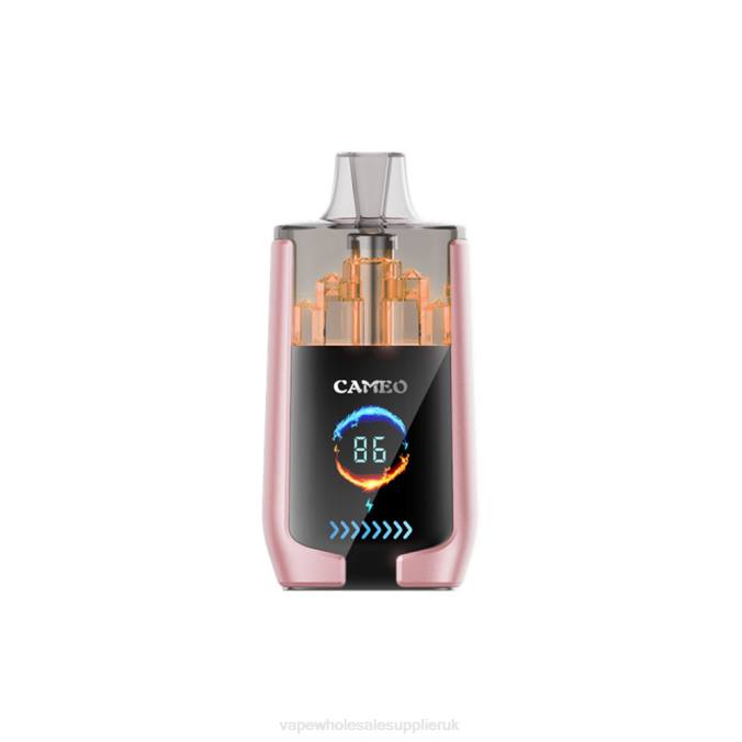 Vape Wholesale UK 4BD619 Tropical Fruit - LAVIE CAMEO 30000 Puffs